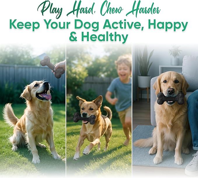 Natural Rubber Dog Chew Bone – Treat-Dispensing, Tough & Indestructible Chew Toy – Safe for Aggressive Chewers – Dental Health & Boredom Relief (Black)