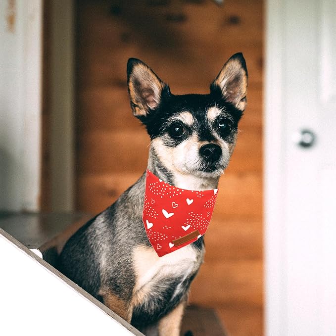 Realeaf Valentine's Day Dog Bandanas 2 Pack, Reversible Red Plaid Heart Dog Scarf for Boy and Girl, Premium Durable Fabric, Holiday Love Bandana for Large and Extra Large Dogs Pets (Small)