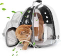 Lollimeow Cat Carrier Backpack, Expandable Bubble Pet Carrier for Cats and Small Dogs, Airline Approved Travel Backpack for Hiking, Walking & Outdoor Adventures - Supports up to 14 lbs