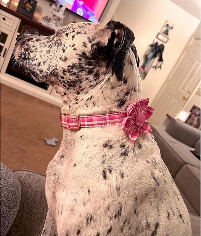 Lionheart Glory Dog Collar, Pink Dog Collar with Flower, Cute Floral Pattern Pet Collar Adjustable Pet Collar for X-Small Dogs