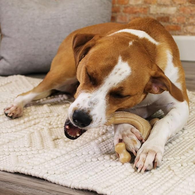 Nylabone Gourmet Style Wishbone Strong Chew Toy for Dogs, Chicken Flavor, Large - Up to 50 lbs, 1 Count