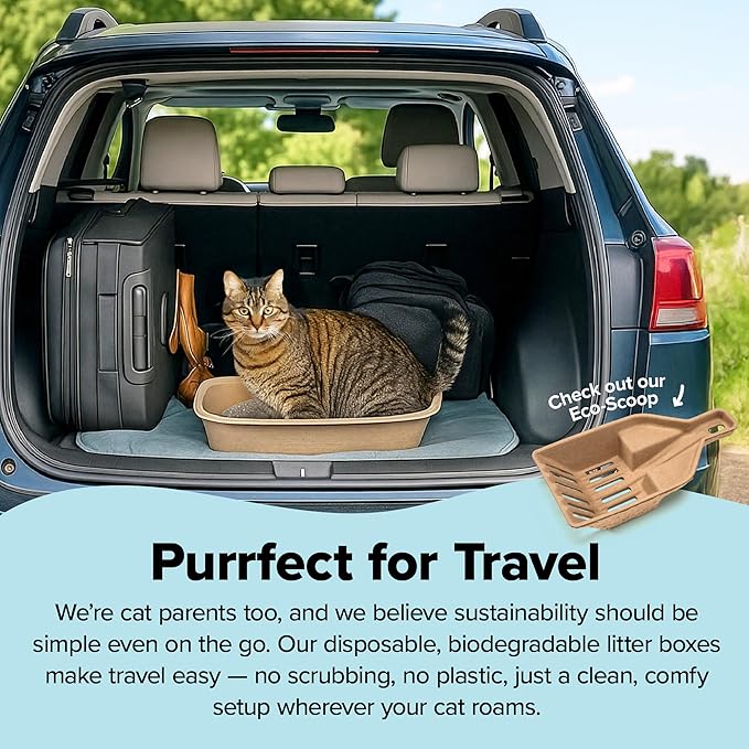 Kitty Sift (Set of 1 Litter Box & 5 Sifting Liners) Disposable Sifting Cat Litter Box Large, 6 Count, Durable and Portable for Travel and Home Odor Control