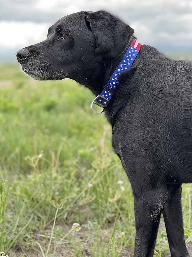 Native Pup American Flag Dog Collar- Red White and Blue- Patriotic Collars for 4th of July, USA- Adjustable Small, Medium, Large Breed Dogs (Medium, Flag I)