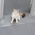 Uross Carpet Protector for Pets - Cat Carpet Protector for Doorway, Anti Scratch Under Door Cat Scratch Protector Mat, Easy to Cut Plastic Stopper Cat Scratch Guard Carpet 3.6FT-Silver