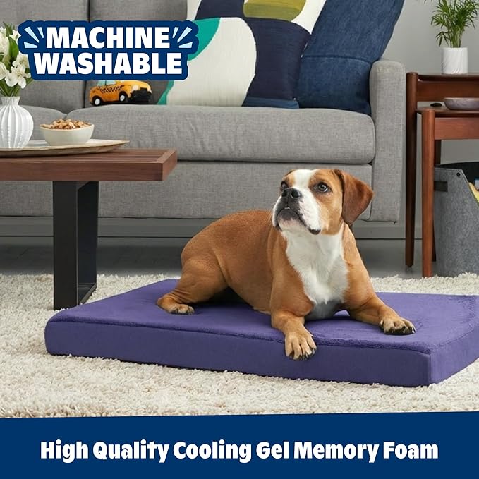 Barkbox Orthopedic Dog Bed | Comfortable Memory Foam Mattress for Joint Relief | Head and Neck Support Waterproof with Non Skid Bottom | Calming Durable Bed with Washable Cover | Small, Navy