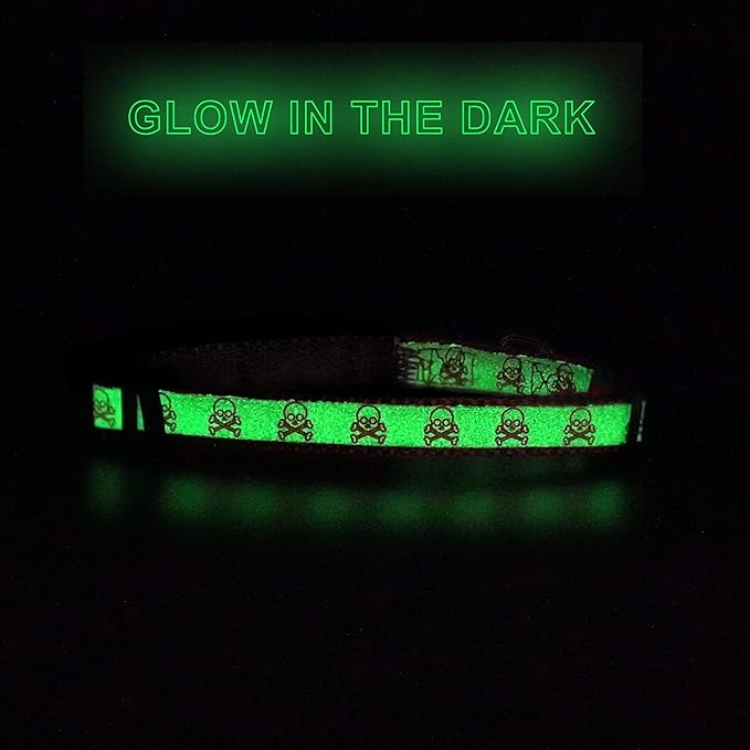 Pawtitas Halloween Cat Collars for Cats Adjustable Collar Glow in The Dark Feature and Safety Breakaway Buckle and Removable Bell to Match Your Halloween Cat's Costume - Pink Skulls Pattern