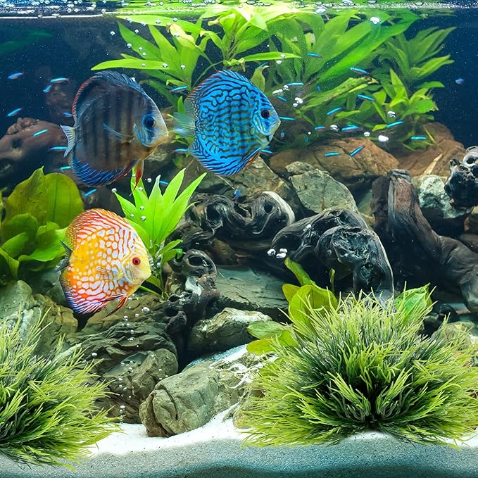2pcs Aquarium Plants Decorations Artificial Fish Tank Plants Plastic Fish Tank Accessories Green Natural Style Aquarium Plants
