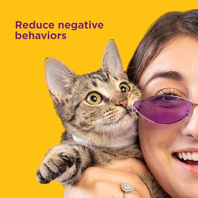 Comfort Zone Cat Calming Collar: 1 30-Day Calming Collar; Cat Pheromones Help Anxiety, Reduce Stress, Urine Marking, Scratching; Indoor or Outdoor Cats; Long-Lasting