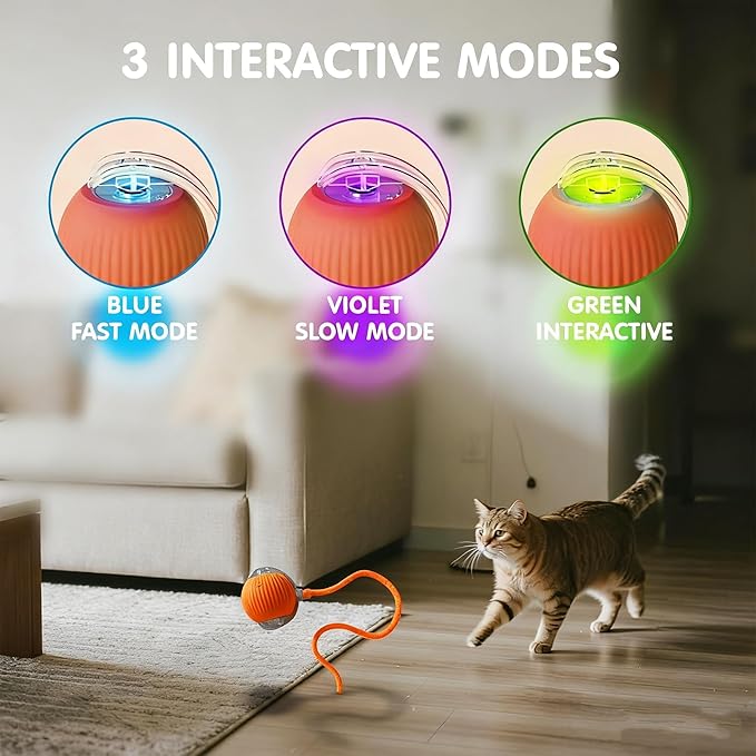Rocfish Interactive Cat Toy for Indoor Cat, Smart Automatic Cat Chase Ball Toy (Orange-N)