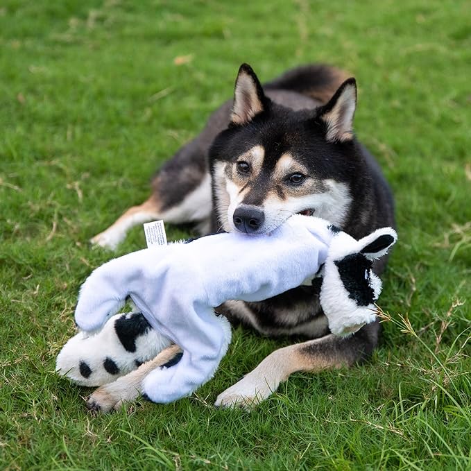 Best Pet Supplies Squeaky Dog Toys with Soft Durable Fabric for Small, Medium and Large Pets Interactive Toy for Indoor Play, Supports Active Biting and Play - Cow, Monkey, Small