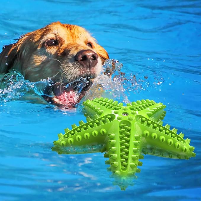 Chew Toy for Dog Toothbrush Stick Dog Toys for Aggressive Chewers Interactive Toys Treats Tough Toy to Keep Them Busy Chew Toys for Small Dogs (Star Toy - Green)