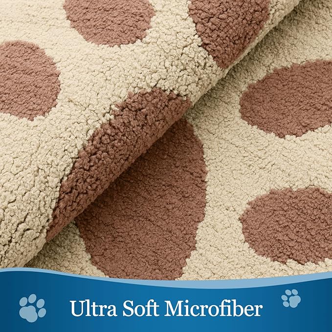 Buganda Dog Door Mat for Muddy Paws, Absorbent Dirt Trapper Washable Indoor Doormats, Non Slip Low-Profile Mud Mat for Dogs, Front Entrance Doormat for Inside Floor (36x24 Inches, Light Beige)