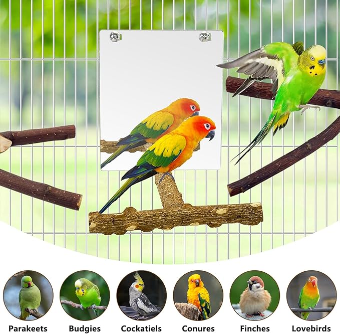 BNOSDM 5PCS Bird Perches Stand with Mirror Parrot Natural Wood Stick Perches Forked Perch Branch Parakeet Toy Set Bird Cage Accessories for Budgie Cockatiel Conure Finch Lovebird