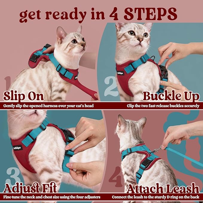 rabbitgoo Cat Harness and Leash for Walking, Escape Proof Soft Adjustable Vest Harnesses for Cats, Easy Control Breathable Reflective Strips Jacket, Red & Teal, XS