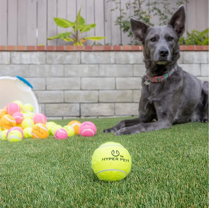 Hyper Pet Tennis Balls for Dogs, Pet Safe Dog Toys for Exercise and Training, Pack of 4, Green