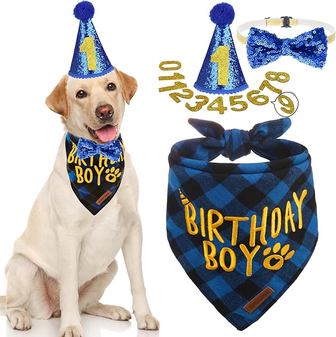 EXPAWLORER Dog Birthday Party Supplies - Dog Birthday Bandana Scarf and Party Hat with Numbers Boy Girl Pet Bow Tie, Cute Outfit for Small Medium Large Dogs (Large)
