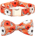 Fall Dog Collar, Pet Collar Bow Floral Pet Collar Girl Boy Holiday Pet Collars Gift Bow Cute Soft Puppy Collar for X-Large