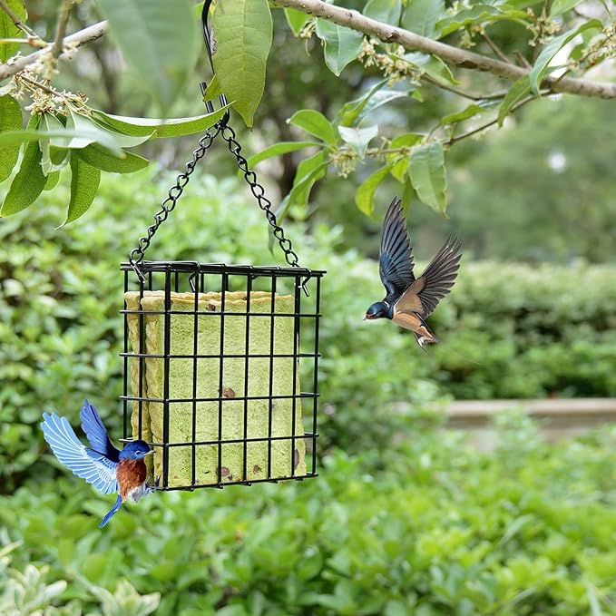 2Pcs Outdoor Suet Cage Bird Feeder, Wild Bird Feeder, Single Suet Cake Capacity, Fruit and Suet Feeder Style for Outside Hanging(Black)