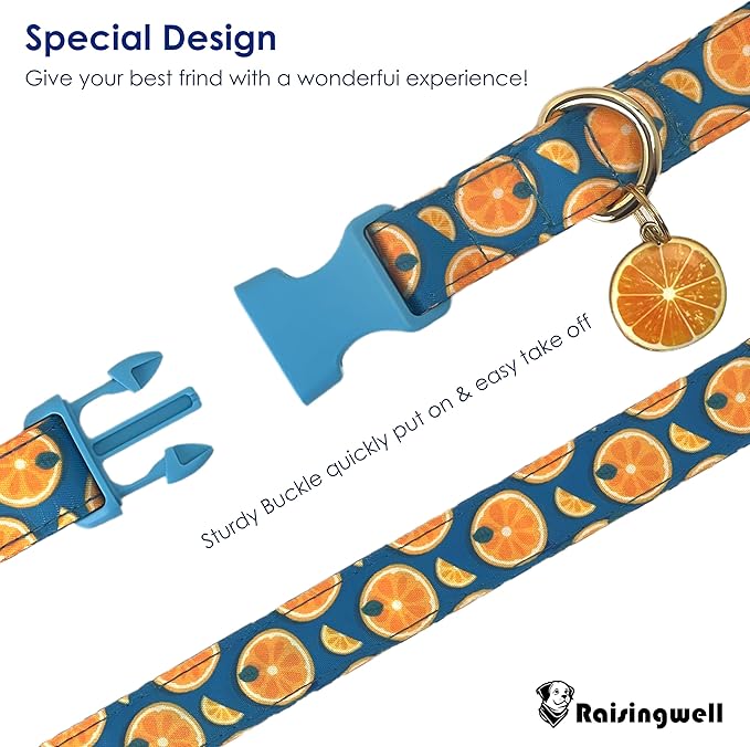 Cute Dog Collar Fruit Orange Pattern for Boys and Girls Holiday Dog Collars Summer Fall Gift Adjustable for Small to Medium Breed Dogs (Fruit Orange, XS)