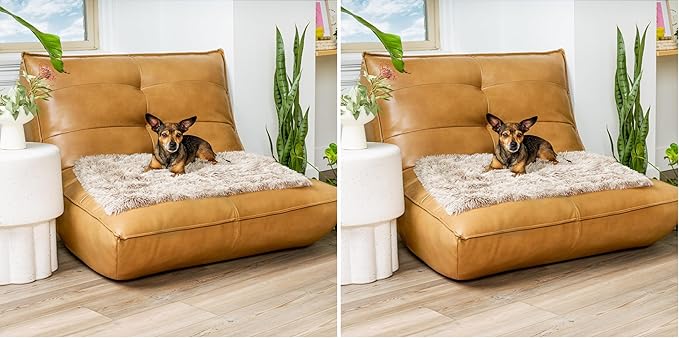 Furhaven Waterproof Throw Blanket for Dogs & Indoor Cats, Washable - Shaggy Plush Calming Long Faux Fur & Velvet Dog Blanket - Driftwood, Small (Pack of 2)