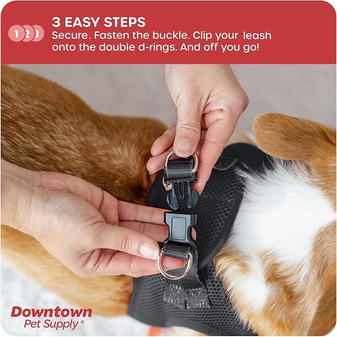 Downtown Pet Supply Step-in Dog Harness – No Pull, Adjustable Padded Mesh with Reflective Trim, Secure Buckle Strap – Comfortable & Breathable Small Dog Harness, XX-Small, Charcoal