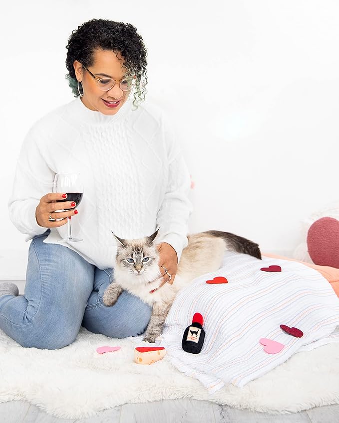 Pearhead Pet Cheese & Wine Cat Toys Set of 2 – Plush Catnip Toys with Crinkle & Rattle, Valentine’s Day Interactive Cat Toys for Indoor Cats