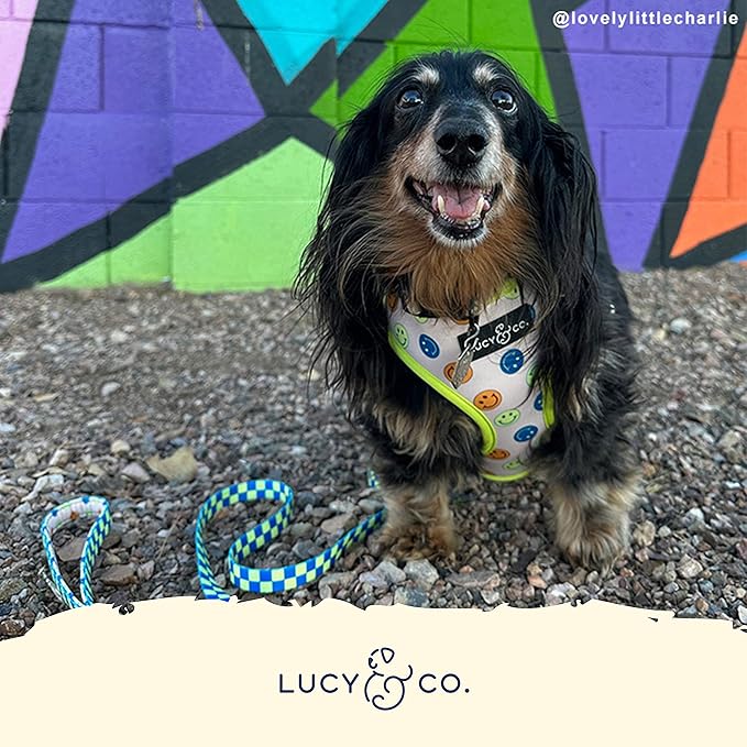 Lucy & Co. Lime Green with Blue Checker Smiley Faces, Cute Reversible Dog Harness Walking Halter - Best Designer Pet Harnesses for XS - XL Dogs - Padded Adjustable Vest for Easy Walking (Small)