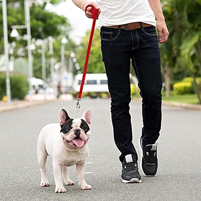 Long Dog Puppy Obedience Recall Training Agility Lead, Leash GREEN, BLACK, RED, BLUE, or ORANGE - by, Pet Supply City, LLC (20 feet)