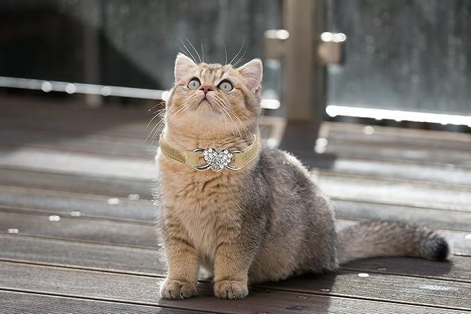 Heart Bling Cat Collar with Safety Belt and Bell Adjustable 8-10 inches for Kitten Cats (Khaki)