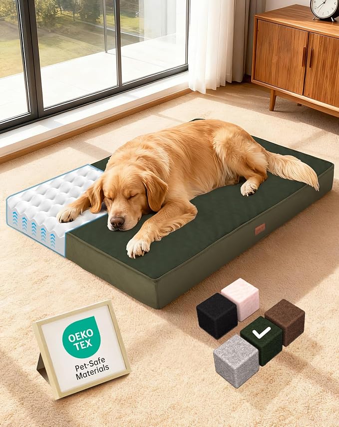 OhGeni Orthopedic Waterproof Dog Bed for Large Dogs, Machine-Washable Removable Cover in Easy-Clean Fabric, High Density Foam & Easy-Carry Handle, Suitable for Crate, 41 inch (Green)