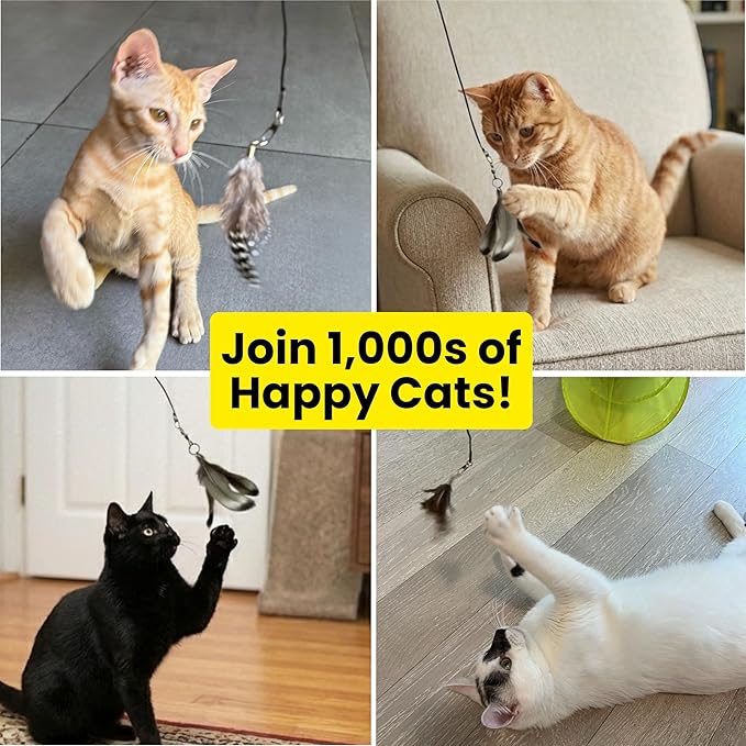 Feather Toys Replacements (3 Pc) - Cat Toys & Kitten Toys for Indoor Kittens, Set of Replacement Feather Attachments Extra Small and Durable, for Cat Wands, Natural and Safe