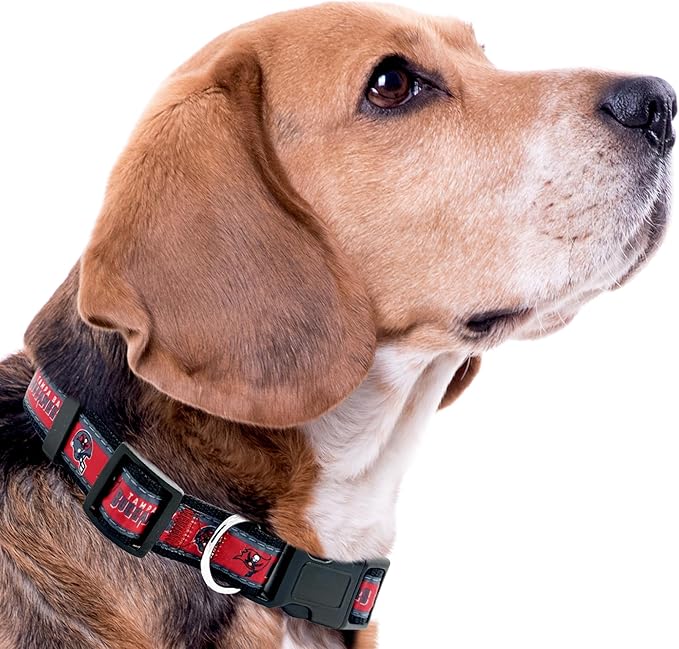 Pets First NFL Tampa Bay Buccaneers Licensed PET COLLAR, Large - Heavy-Duty, Strong, and Durable Dog Collar. Available in 31 Football Teams and 4 Sizes