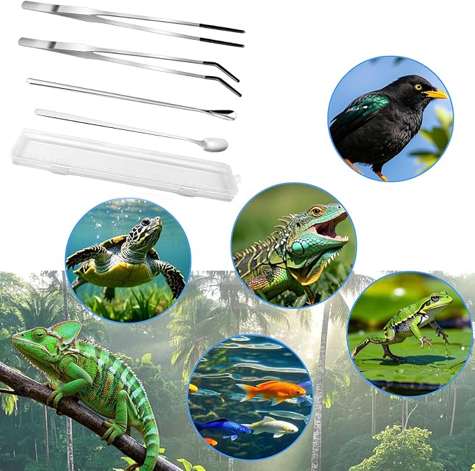 4-Piece Stainless Steel Reptile Feeding Tongs & Spoons Set – Curved/Straight Tweezers,Spoons, Rubber Tips for Bearded Dragons,Aquarium/Terrarium Safe Feeding Tools