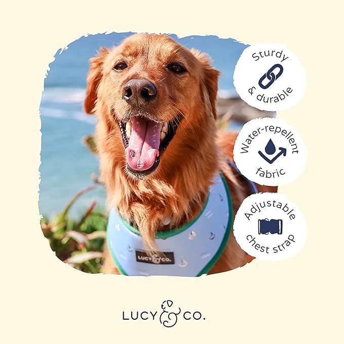 Lucy & Co. Set Sail Reversible Harness, Walking Halter - Best Designer Pet Harnesses for Large Dogs - Padded Adjustable Vest for Easy Walking, Large, Blue & White Stripes & Sailboats