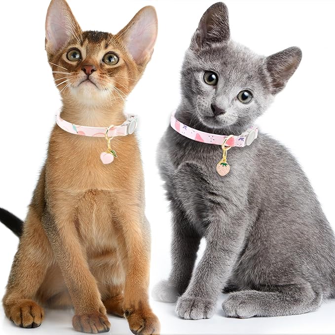 Faygarsle 2 Pack Breakaway Cat Collar with Bells for Female Girl Cats Cute Pink Collar with Peach Strawberry Charm Summer for Cats