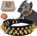 TEEMERRYCA Black Leather Dog Collar with Gold Spikes for Small Medium Large Pets,Pit Bulls/Bulldog, Keep Dog Safe from Grabbing by Huge Dogs,XXL(19.7"-22.4")