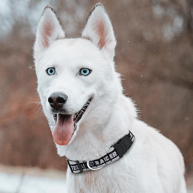 Pets First NFL Raiders Licensed PET COLLAR, Extra Large - Heavy-Duty, Strong, and Durable Dog Collar. Available in 31 Football Teams and 4 Sizes