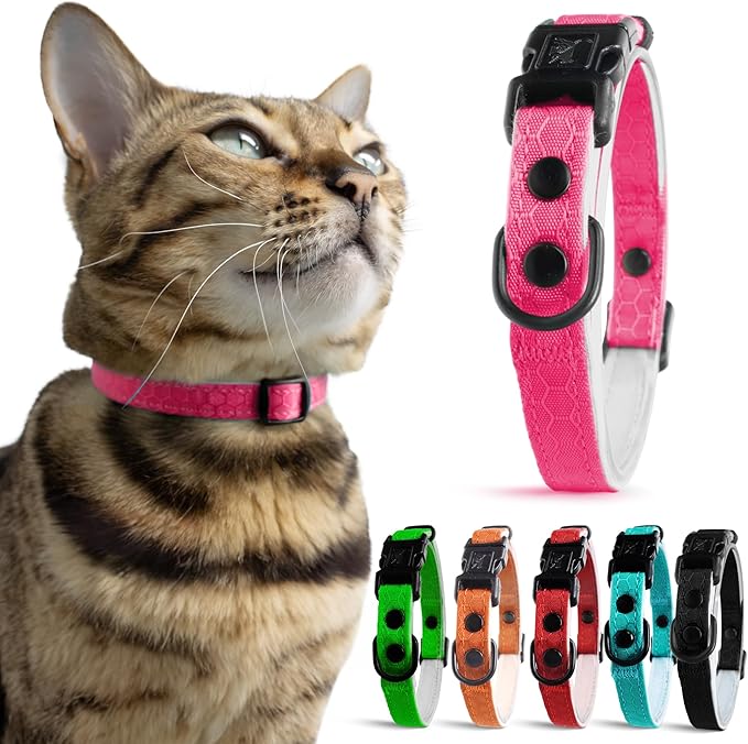 OutdoorBengal Pink Breakaway Kitten Collar - Ultra Safe Quick Release Cat Collar for Small Kittens Under 6 Months – Soft-Padded, Lightweight, Adjustable, Thin and Comfortable, No Bell (Pink, Kitten)