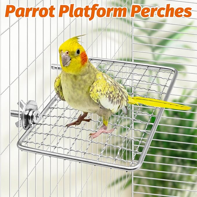 BNOSDM Bird Perch Platform 2 Pcs Stainless Steel Grid Parrot Perches Stand Shelf Parrots Platform Perch Small Birds Cage Accessories for Parakeets, Budgies, Conures, Cockatiels, Lovebirds (S)
