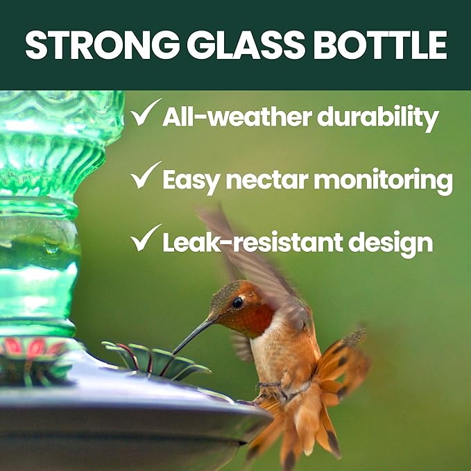 Perky-Pet Glass Bottle Hummingbird Feeder - Outdoor Garden Décor Humming bird Feeder, 8108-1SR - 10 Fl Oz Nectar Capacity - Durable Green Antique Design - Hang from Tree, Porch, Deck, Hook
