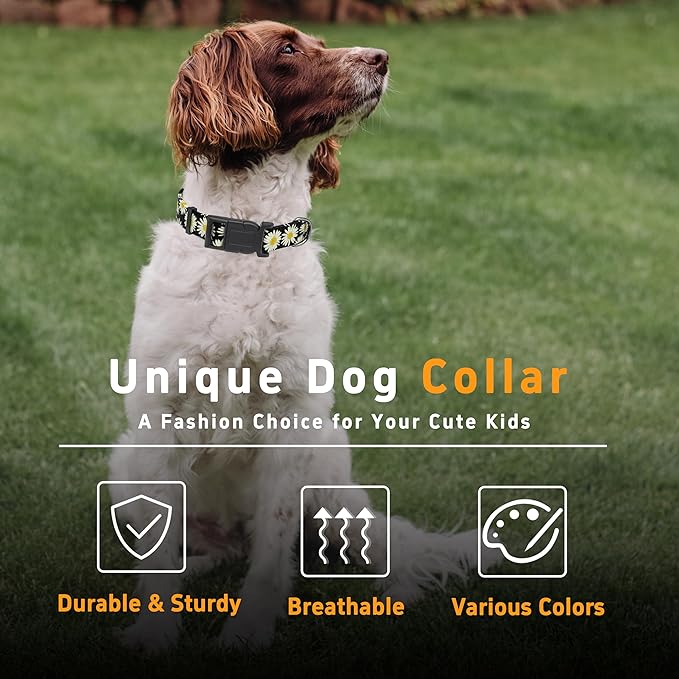 Dog Collar, Daisy Boys Girls Puppy Collar for Small Medium Large Dogs, Adjustable Soft Floral Pet Collar with Safety Buckle for Male Females(Black Daisy,M)