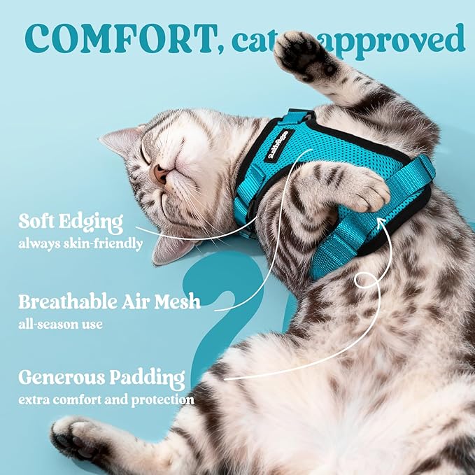 rabbitgoo Cat Harness and Leash for Walking, Escape Proof Soft Adjustable Vest Harnesses for Cats, Easy Control Breathable Reflective Strips Jacket, Teal, XS