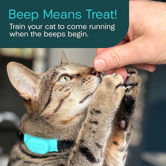 Tabcat V2 Cat & Kitten Tracker - No Monthly Subscription Fee | 2 Lightweight Homing Tags, Cases & Tracking Handset | More Accurate Than GPS | Track 2 Cats Indoors & Outdoors to 1" & 500 ft Range