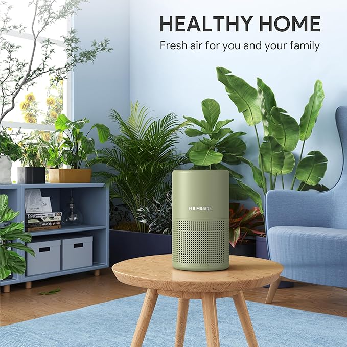 FULMINARE Air Purifiers for Home Bedroom H13 HEPA Air Purifier, 3 Speeds, Timer, 24dB, Small Mini Air Purifier with Night Light, Sage Green