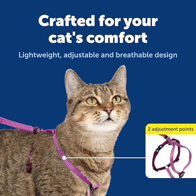PetSafe Come With Me Kitty Cat Harness & Bungee Leash - Comfortable Cat Harness with Lightweight Bungee Leash for Outdoor Fun - More Secure Walks - Medium - Dusty Rose