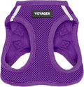 Best Pet Supplies Voyager Step-in Air Harness - All Weather Mesh, Reflective, No Pull Harness for Dogs, Cats - Secure with Hook & Loop Fastener, Buckle, Double D-Rings - Purple, L