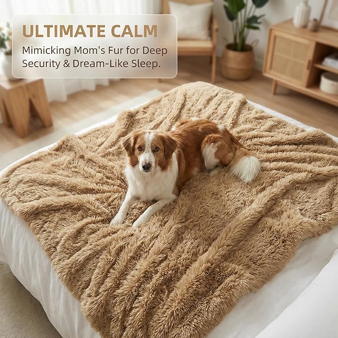 PJYuCien Dog Blankets for Large Dogs Washable - Fluffy Fuzzy Cat Blanket for Couch, Puppy Throw for Furniture with Polyester Fleece, Super Soft Plush for Pet Kitten Doggy, Brown, 60" x 80"