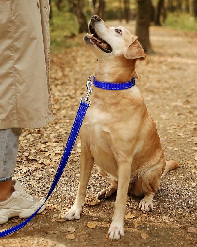 TagME Reflective Nylon Dog Collars, Adjustable Classic Dog Collar with Quick Release Buckle for Puppy, Royal Blue, 3/8in Width (XS)