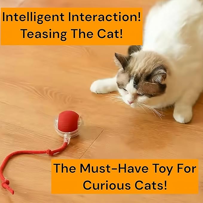 Interactive Electric Automatic Rolling Moving Rechargeable Self Play Stimulation Toy,Smart Pet Chase with Speedy Tail Rope for Bored Indoor Cats (Pink)