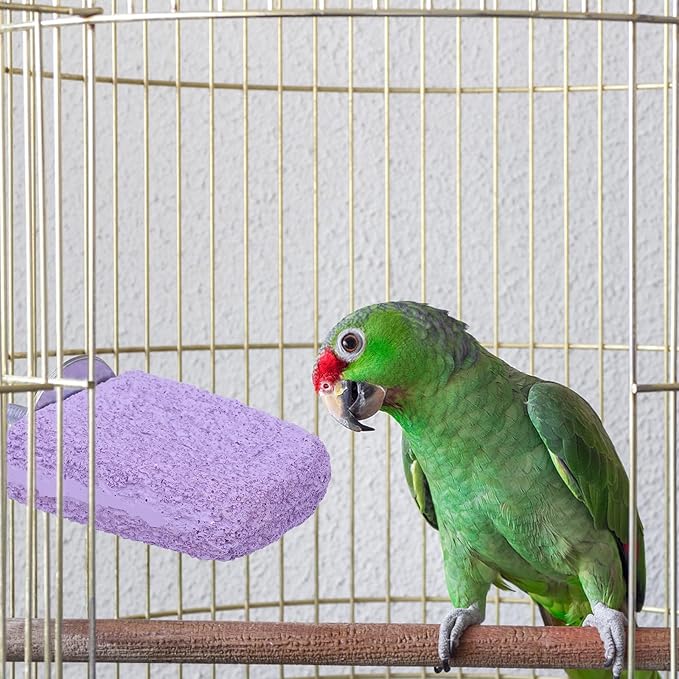 2pcs Anti-Slip Bird Beak Grinding Stones, Washable Resin Bird Beak Trimmer & Nail Filing Stand Platform Cage Accessories for Parrots Budgies Cockatiels Parakeets